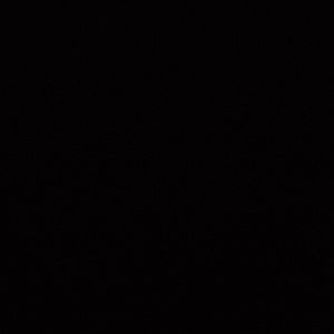 Meet your Posher, Tabitha